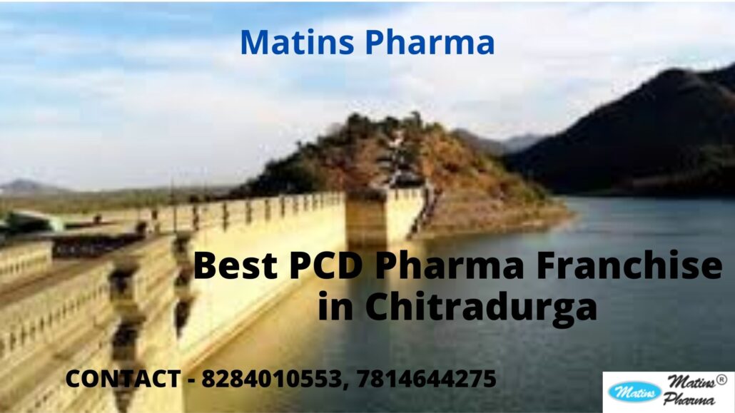 PCD pharma franchise in Chitradurga