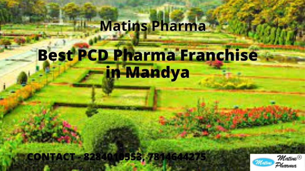 best PCD pharma franchise in Mandya
