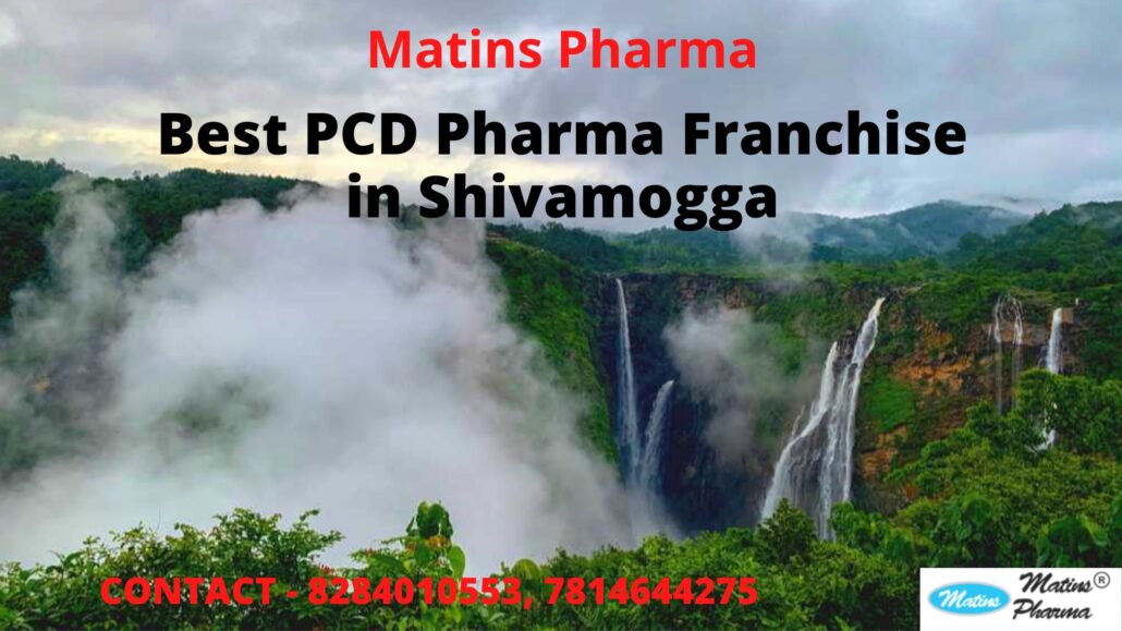 best PCD pharma franchise in Shivamogga