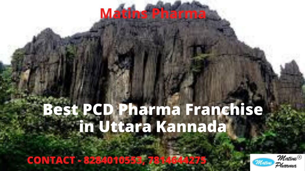 best PCD pharma franchise in Uttara Kannada