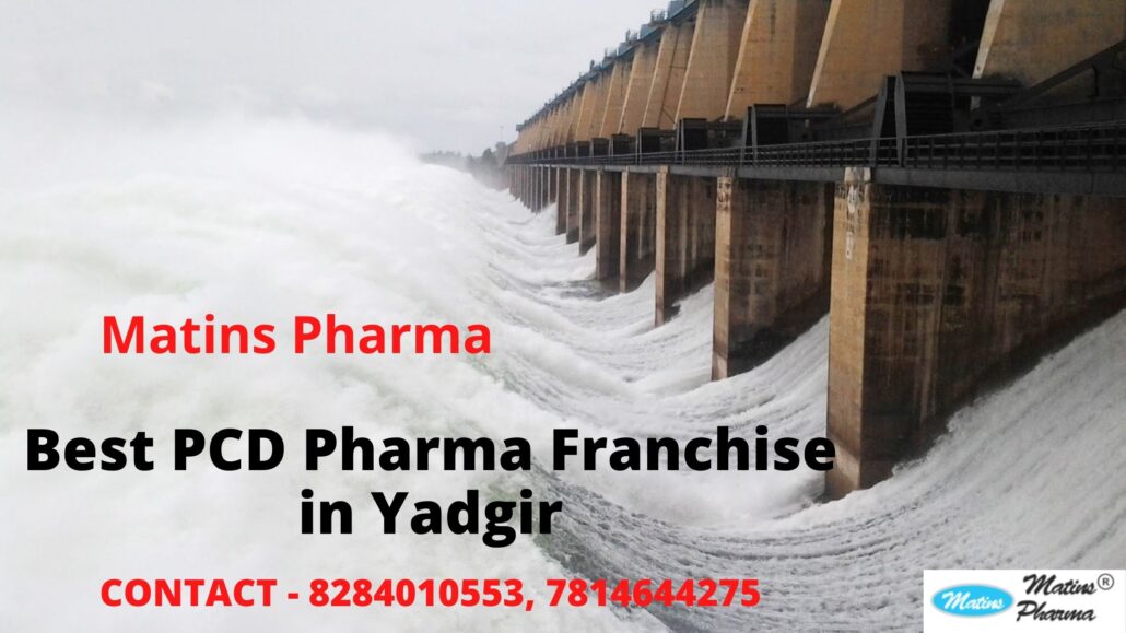 best PCD pharma franchise in Yadgir