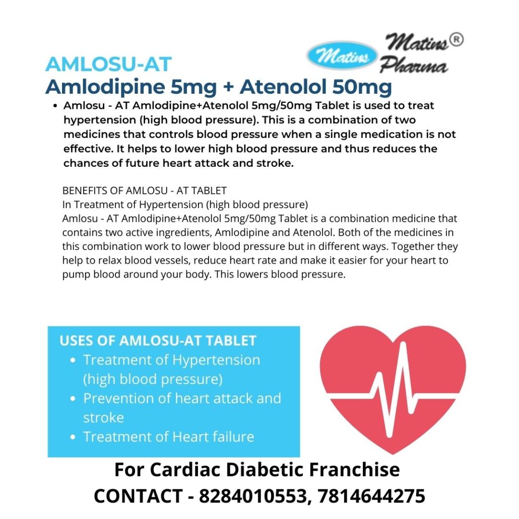 Amlodipine Atenolol Manufacturer Supplier in PCD Franchise