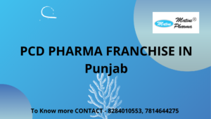 PCD Pharma Franchise in Punjab